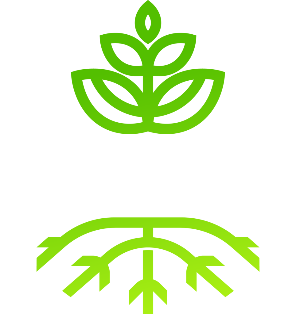 AVANTE